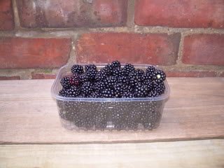 DSCN5404-1.jpg