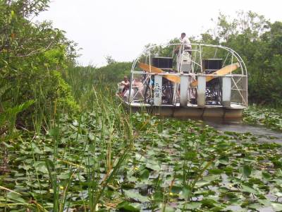 Everglades_Florida_11-1.jpg