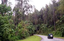 JandaBaikTRNP1aroad-1.jpg