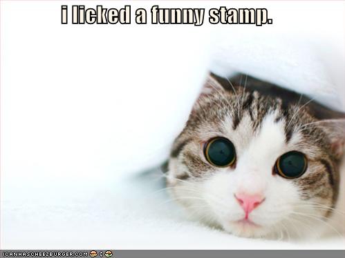 Juli_lickedafunnystamp-1.jpg