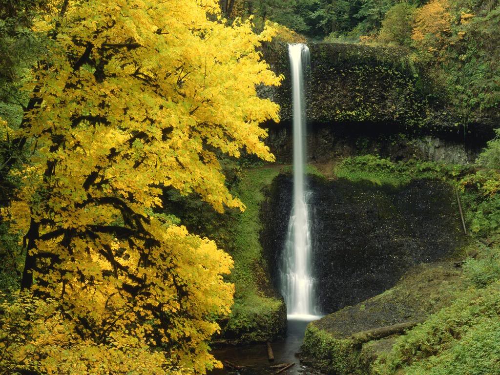 MiddleNorthFallsSilverFallsOregon-1.jpg