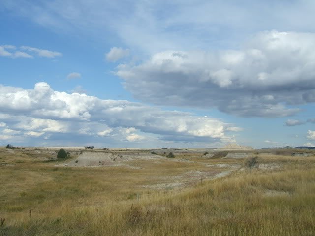 Rez3-1.jpg