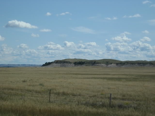 Rez8-3.jpg