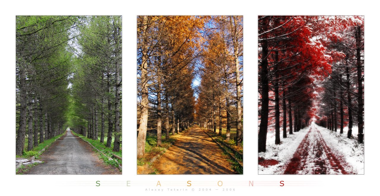 Three Seasons by Frider 1 - ~The Four Season~ Thread!