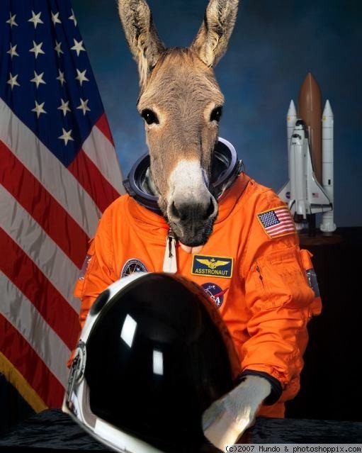asstronaut 1 - Funny animals...........