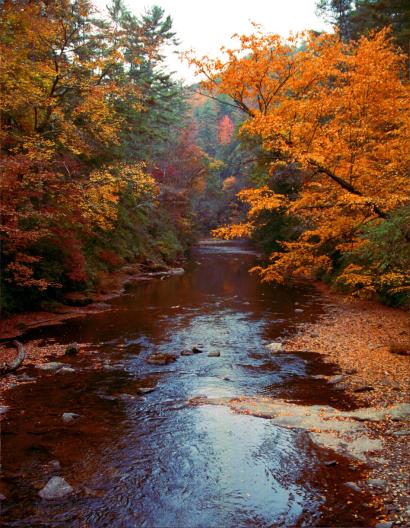autumn1-1.jpg