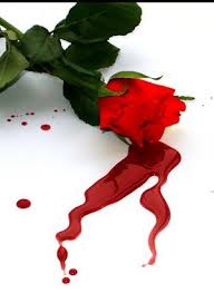 bleeding_rose_my_desktop__by_mandiscandi-1.jpg