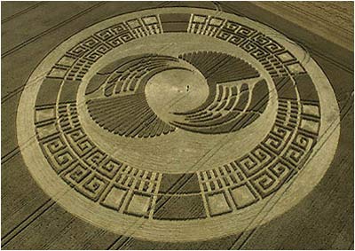 cropcircle5 1 - Natural Phenomenon's Part II =P / Crop Circles #