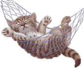 cute_kitten_1-1.gif