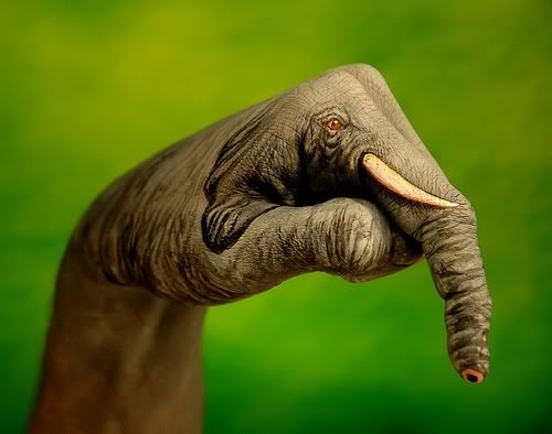 elephant-2.jpg