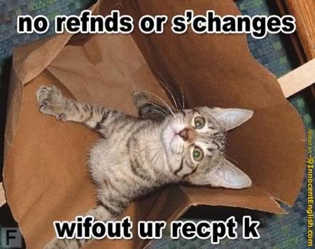 funnykittyinpaperbag-1.jpg