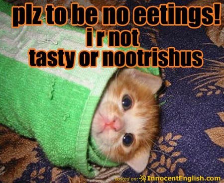 funnykittyrolledupborito-1.jpg