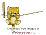 hangintherekitten-1.gif