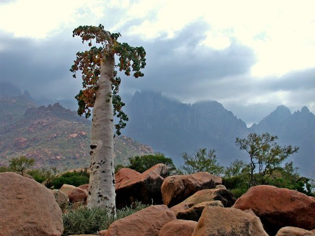 image 3 - The Most "Alien"(Beautiful)-Looking Place on Earth , SubhanAllah!