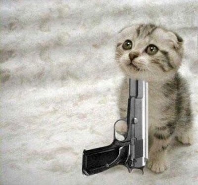 kitten_die-1.jpg