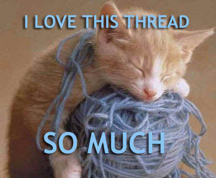 kitten_love-1.jpg
