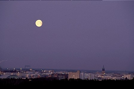 ku02812b-3.jpg
