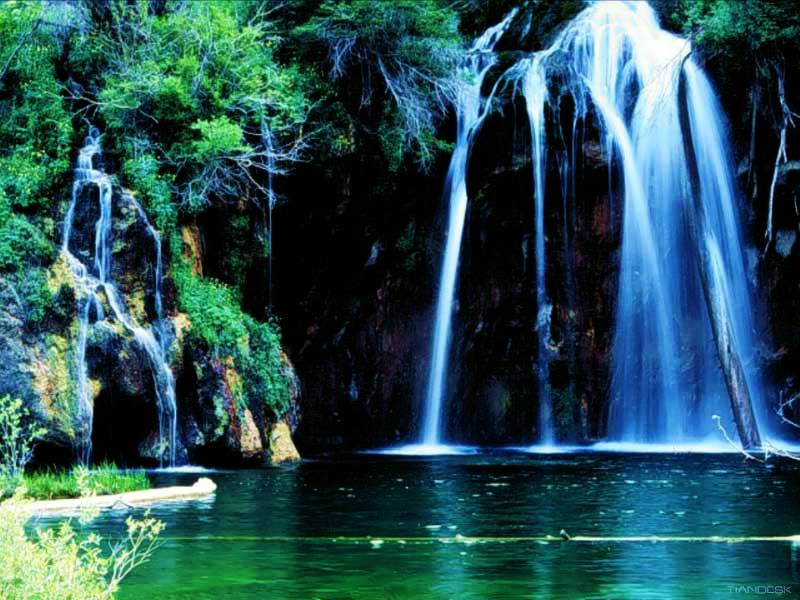 naturewallpaper-1.jpg