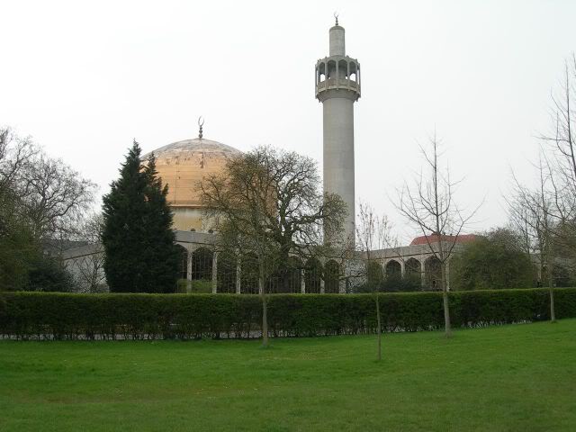 nik_036-1.jpg