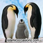 penguin-1.jpg