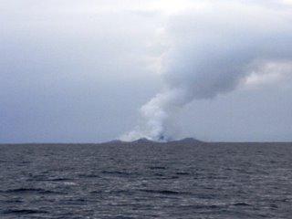 pic100-2.jpg