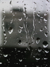 rain2-1.gif