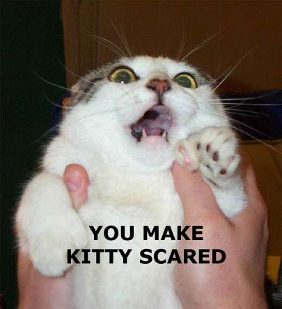 scared-1.jpg