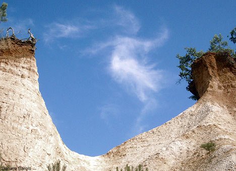 skyskate1109_468x340-1.jpg