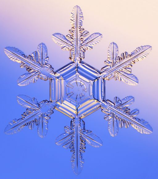 snowflake1_1-1.jpg