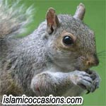 squirrels-1.jpg