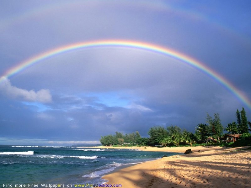 wwwPicsDesktopcom_102-1.jpg