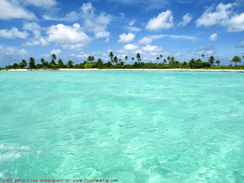 wwwPicsDesktopcom_105-1.jpg