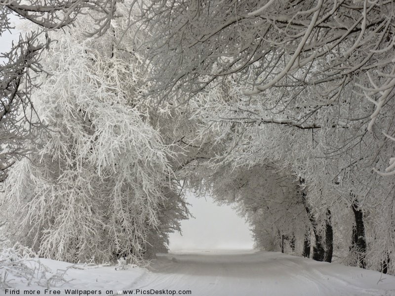 wwwPicsDesktopcom_105-2.jpg