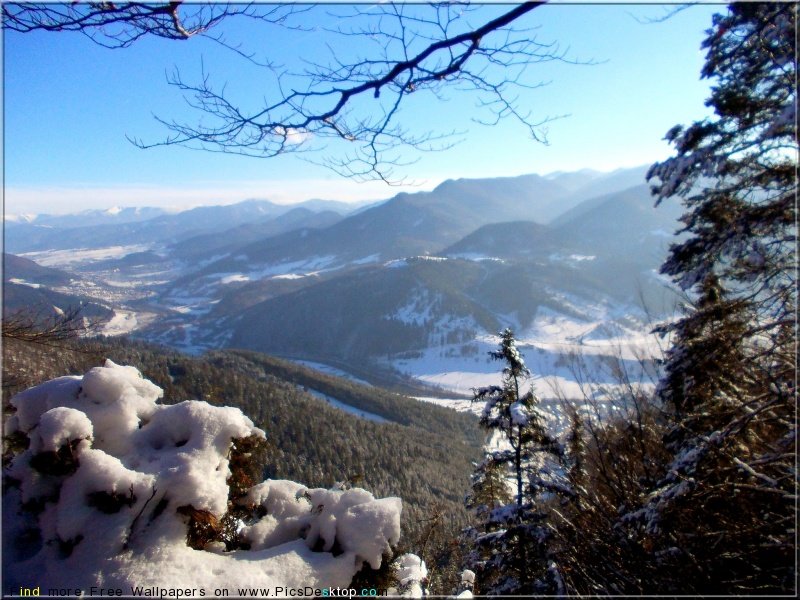 wwwPicsDesktopcom_110-1.jpg