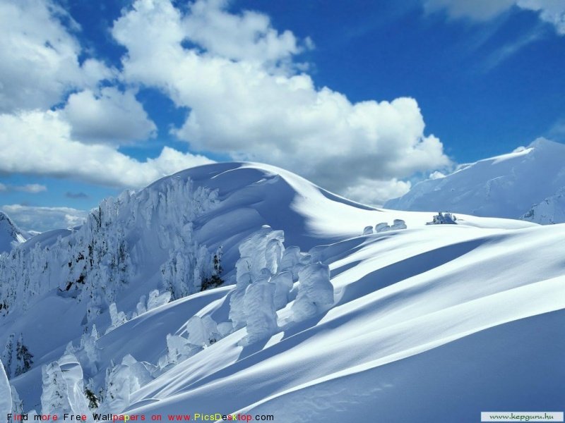 wwwPicsDesktopcom_144-1.jpg