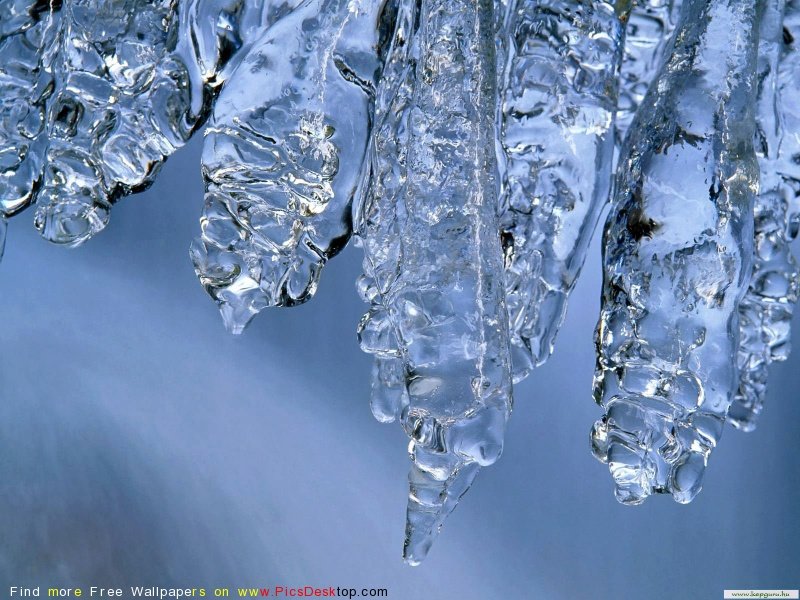 wwwPicsDesktopcom_160-1.jpg