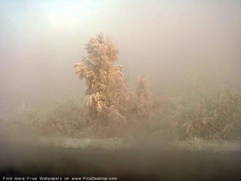 wwwPicsDesktopcom_59-1.jpg