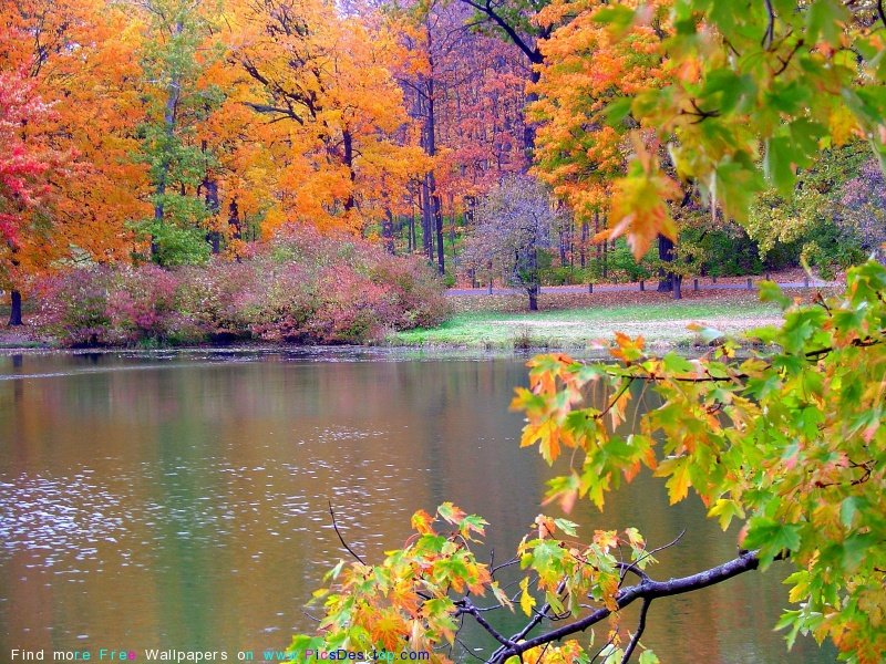 wwwPicsDesktopcom_68-1.jpg