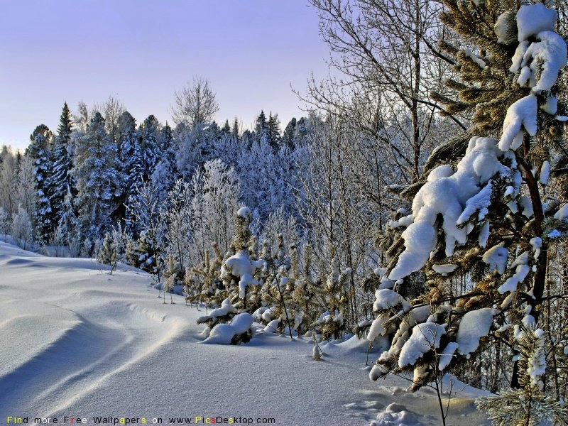 wwwPicsDesktopcom 88 2 - ~The Four Season~ Thread!