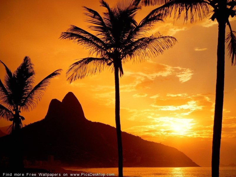 wwwPicsDesktopcom_92-1.jpg