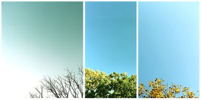 z123915122-1.jpg