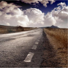 z57498275-1.png