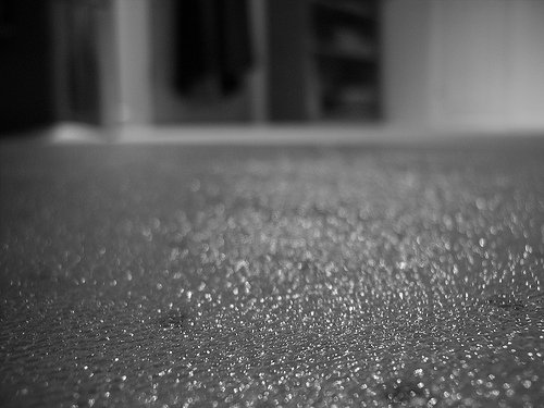 2934762142_9e21de2435-1.jpg