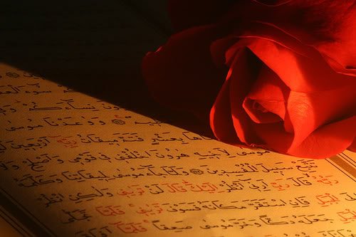 QuranAndRose-1.jpg