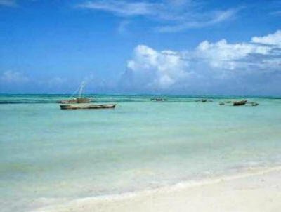 Tanzania20jambiani20beach 1 - Beaches and Islands pics...