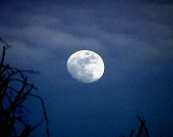WaxingMoon20898-1.jpeg