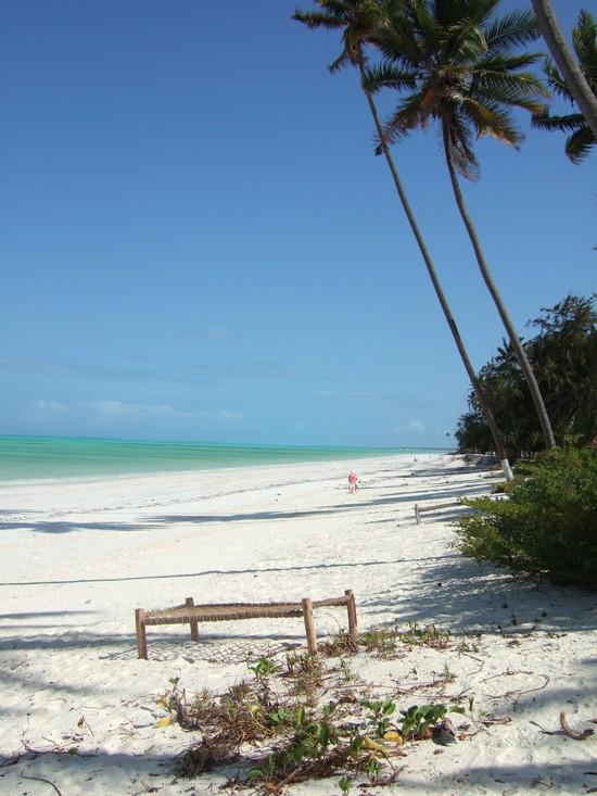 africa200511611627203x_bwejuu_beach2-1.jpg