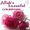 allahcreations-1.gif