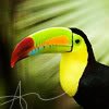 animal113-1.jpg