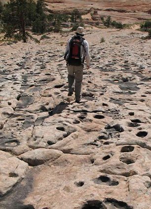 article10793050230CACE000005DC508 306x42 1 - Geologists discover 'dinosaur dancefloor' in remote American wilderness